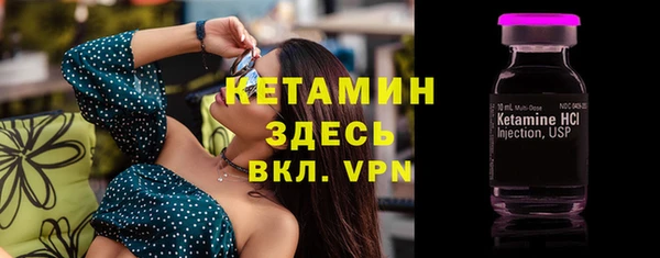 гашик Гусь-Хрустальный