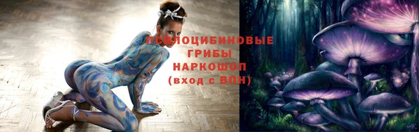 гашик Гусь-Хрустальный