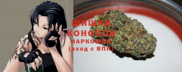 хмурый Тында