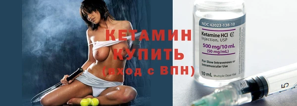 гашик Гусь-Хрустальный