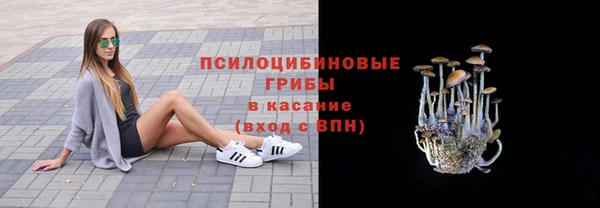 гашик Гусь-Хрустальный