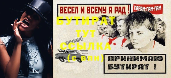 гашик Гусь-Хрустальный