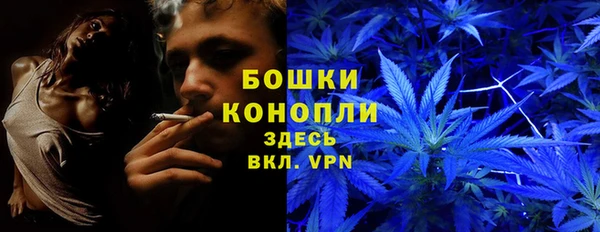 гашик Гусь-Хрустальный