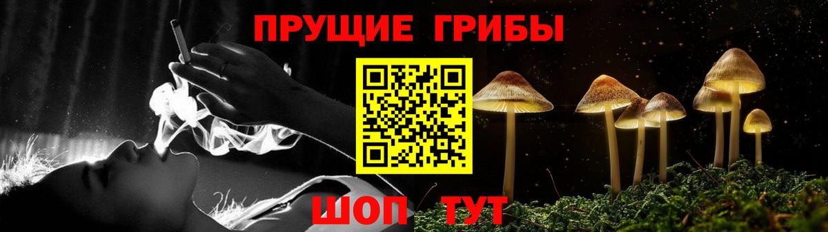Псилоцибиновые грибы Psilocybine cubensis Мценск